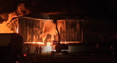 Yangına çok sayıda ekip müdahale ediyor