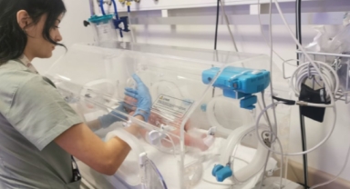 Yol kenarına terk edilen bebeğin ailesinden 5 kişi yakalandı