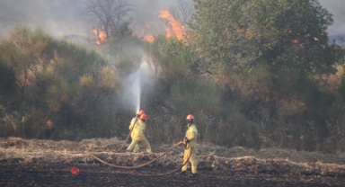 575 hektarlık alan kül oldu