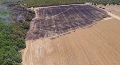 80 dönümlük arazi yangında zarar gördü