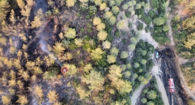 Adana'da orman yangını