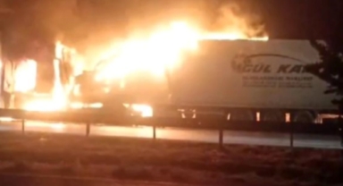 Avokado yüklü tır alev aldı