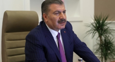 Bakan Koca'dan sokak köpekleri açıklaması