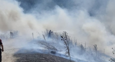 Balıkesir'in 3 ilçesinde orman yangını