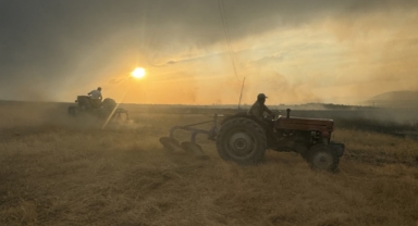 Buğday ekili alan kül oldu