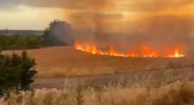 Buğday tarlası alev aldı