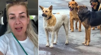 Buket Özgünlü hakkında 4 yıla kadar hapis istendi