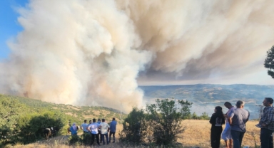 Bursa-Balıkesir il sınırında orman yangını 