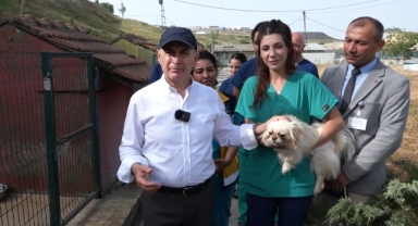 Büyükçekmece Belediye Başkanı Dr. Hasan Akgün “Devlet katkı sağlarsa sokak hayvanları sorunu 5 yılda çözülür”