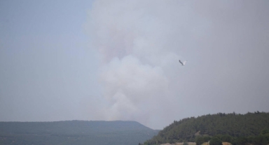 Çanakkale'de orman yangını