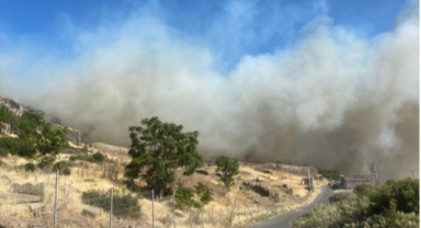 Çanakkale'de orman yangını
