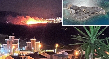 Çiçek Adası'nın tamamı küle döndü