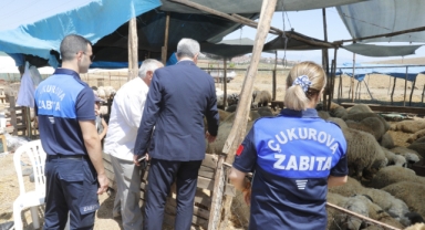 ÇUKUROVA BELEDİYESİ KURBAN SATIŞ VE KESİM YERLERİNİ DENETLEDİ