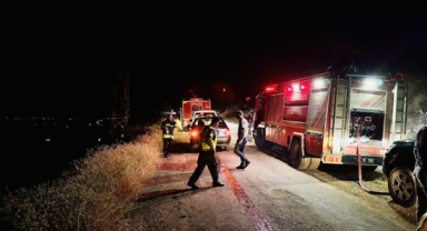 Diyarbakır'daki yangında 500 hayvan öldü
