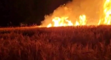 Elektrik direğinden çıkan kıvılcım yangına neden oldu