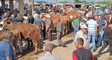 Emeklileri kurban ettiler