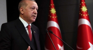 Erdoğan'dan sokak köpekleri için talimat