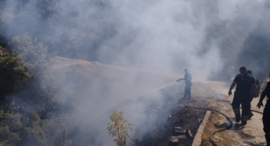 Evde çıkan yangın ormana sıçradı