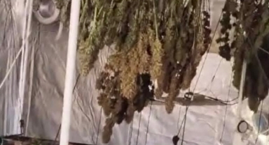 İtfaiye yangın çıkan evde kenevir serasıyla karşılaştı 