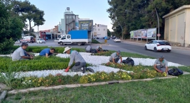 Kemer’de kavşak ve refüjlerde bakım çalışması 