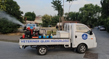 KÜÇÜKÇEKMECE BELEDİYESİ SİVRİSİNEKLERE KARŞI ALARMDA