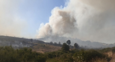 Manisa'da orman yangını bir türlü söndürülemiyor