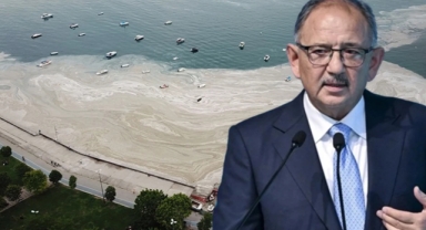 Müsilaj nedeniyle Marmara Denizini yitireceğiz
