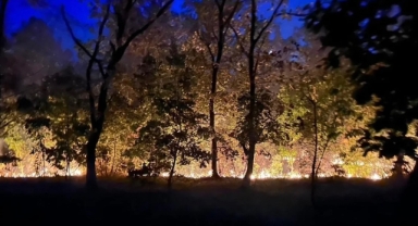 Ormanlık alanda çıkan yangın söndürüldü