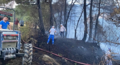 Sakarya'da orman yangını