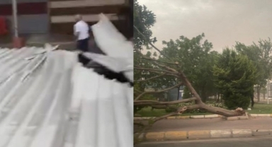 Şanlıurfa'da fırtına ve şiddetli yağış