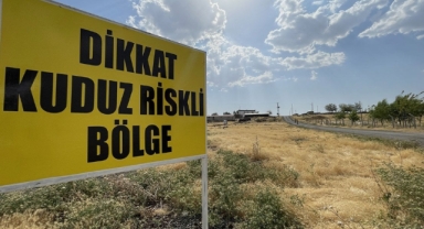 Şanlıurfa'da kuduz karantinası