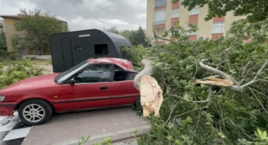 Şiddetli rüzgar şehri yerle bir etti 
