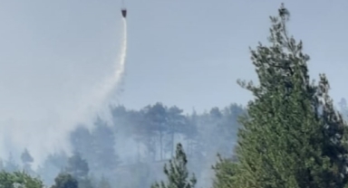Siirt'te orman yangını