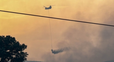 Tarım arazisinde çıkan yangın ormana sıçradı 