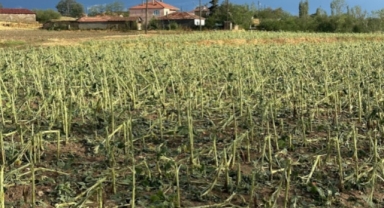 Trakya'da dolu yağdı 