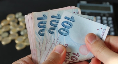 Yargı ve vergi paketleri ile sokak hayvanları konusu