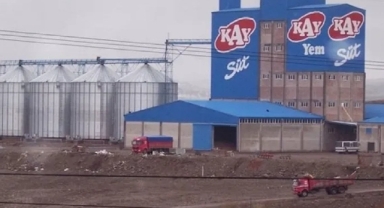 Yarım asırlık süt markası iflas etti