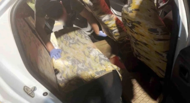 81 Kilo Skunk Esrar Ele Geçirildi