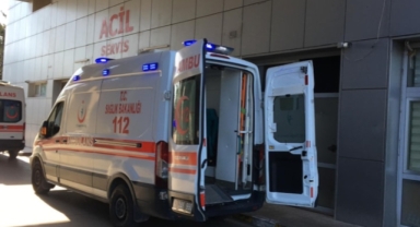 Ağaç devrildi, 2 kişi altında kaldı