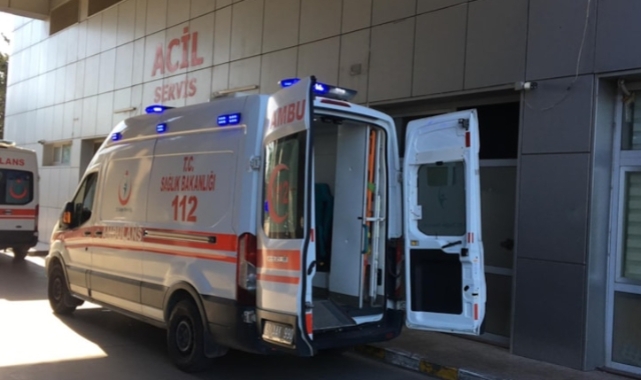 Ağaç devrildi, 2 kişi altında kaldı