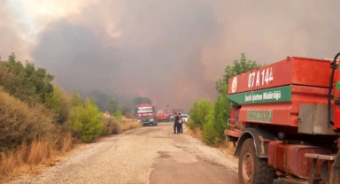 Antalya'da ormanlık alanda yangın