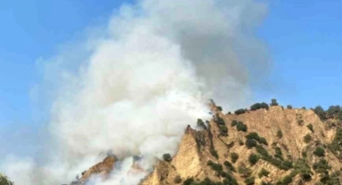 Aydın'ın Nazilli ilçesinde yangın