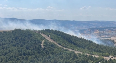 Balıkesir'de iki ilçede orman yangını