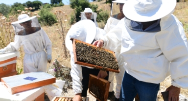 Bornovalı arıcılara yerinde destek