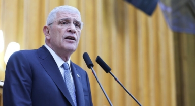 Dervişoğlu'ndan sokak hayvanları yasasına tepki