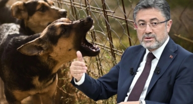 Düzenlemeye uymayanlara 2 yıla kadar hapis var