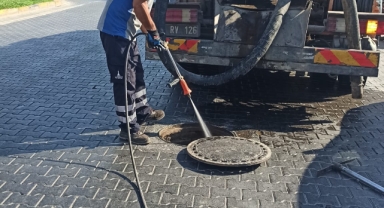 EFES SELÇUK’TA HAŞERE SORUNUNA KARŞI YOĞUN MÜCADELE: ÖNLEMLER ARTIRILDI