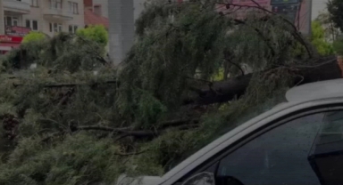Fırtınada kırılan ağaç aracın üzerine devrildi