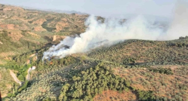 Germencik ilçesinde orman yangını