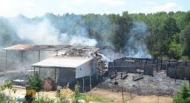 Hayvan Çiftliğinde Yangın Çıktı